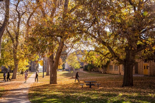 Top Colleges in Colorado - College Hi