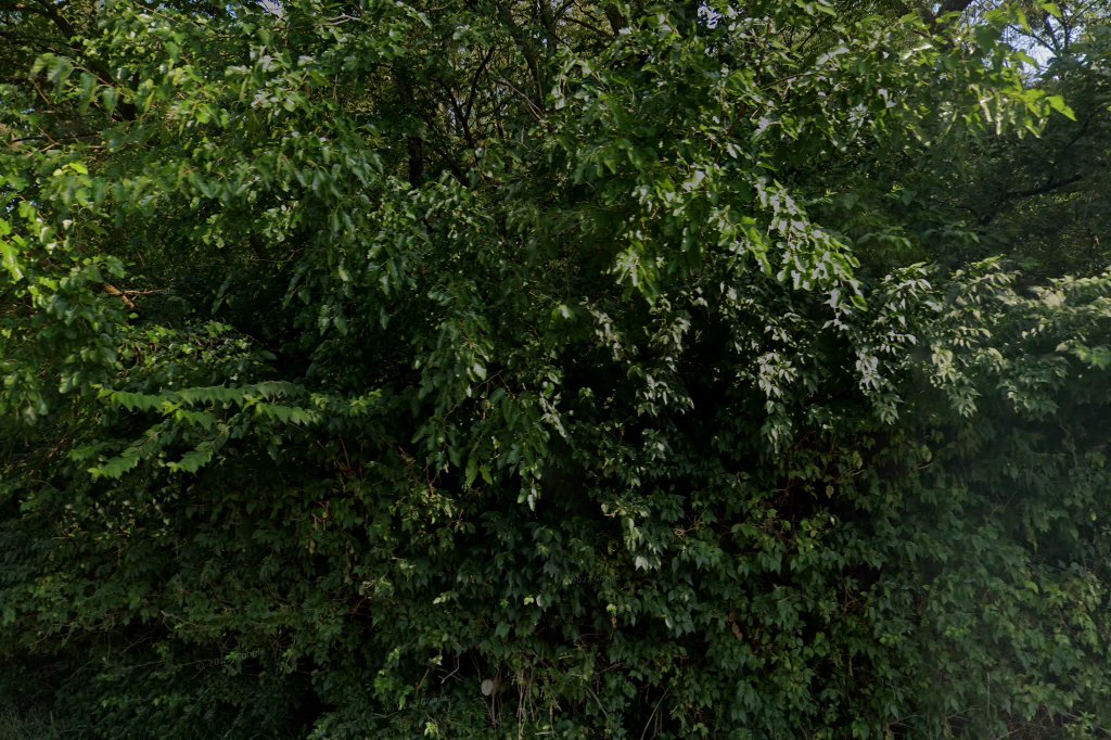 Georgetowne Middle School