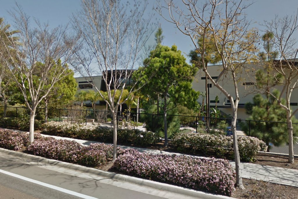 The Rock Academy