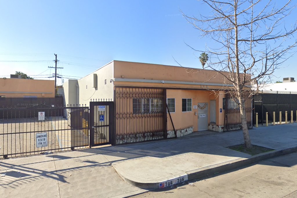 Wisdom Academy For Young Scientists
