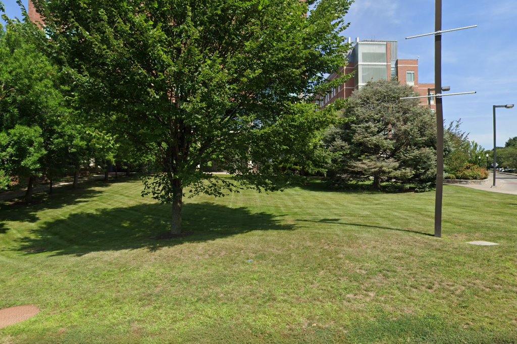 Carlson Library