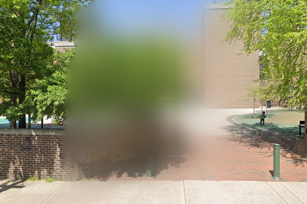 Greenfield Albert M School