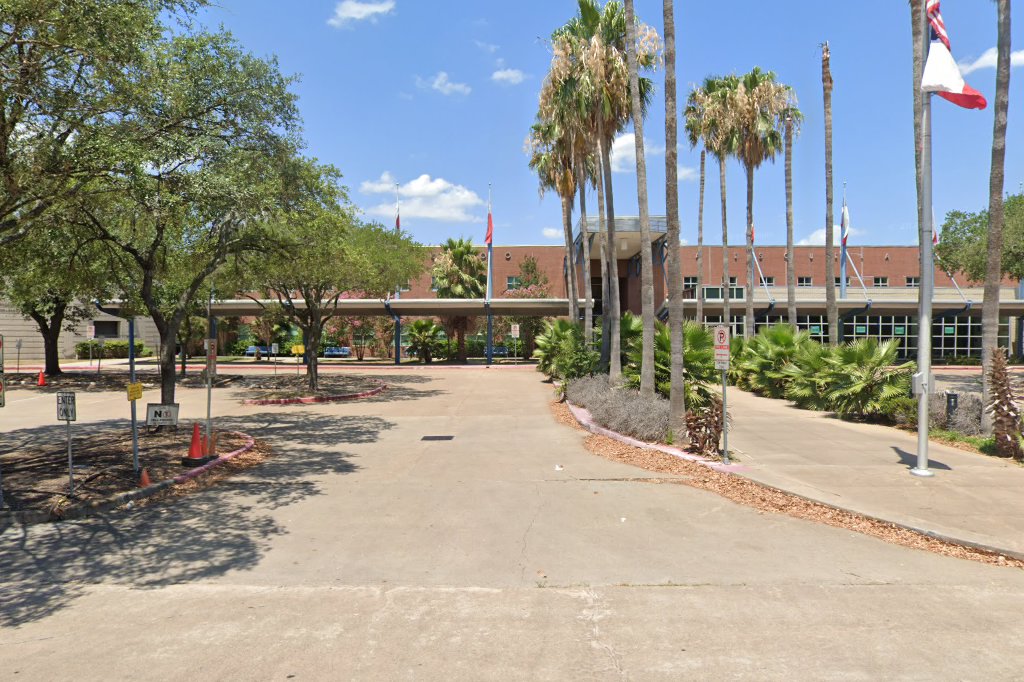 Rice School/La Escuela Rice
